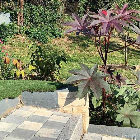 Au Fond Du Jardin Villa Wintzenheim-Kochersberg Екстериор снимка